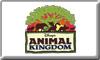 animal-kingdom.jpg