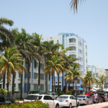 Miami: Quirlige Exotik mit Karibik-Feeling