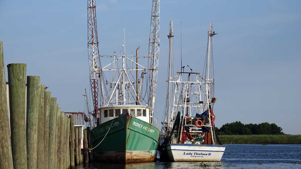 Apalachicola Panhandle
