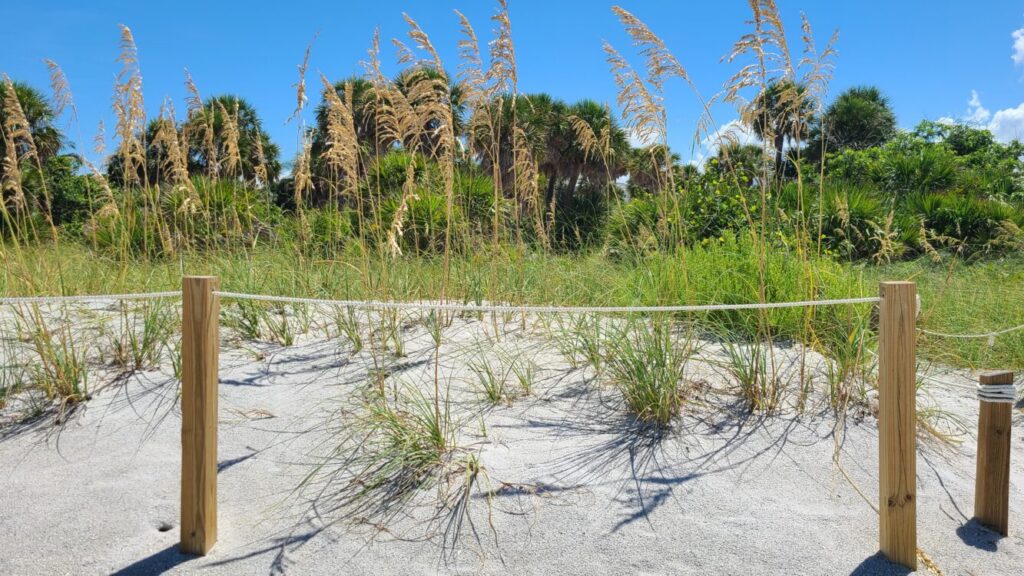 Wiederhergestellte Stranddünen