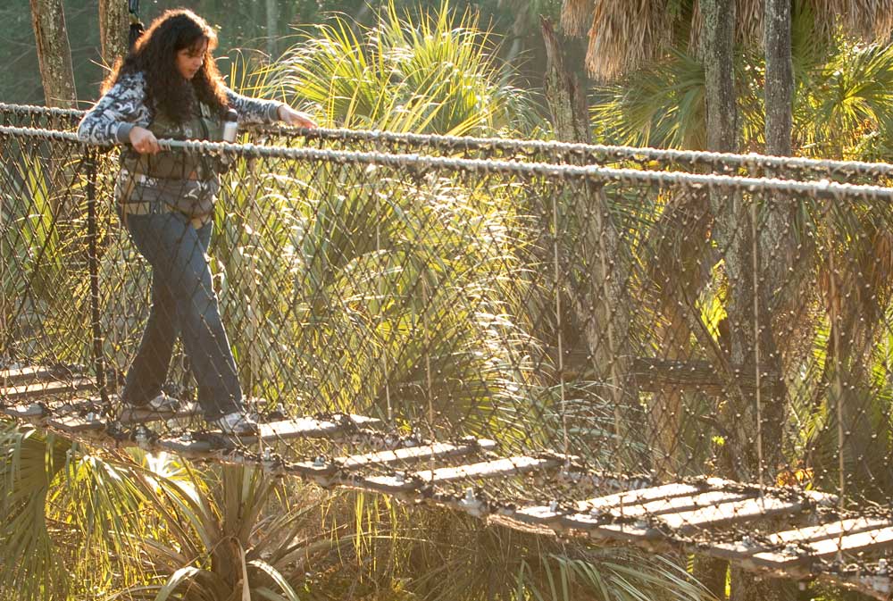 Animal-Kingdom-tropisches-Oasis Hängebrücke im Oasis