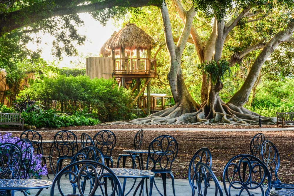 Ann-Goldstein-Childrens-Rainforest-Garden