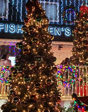 Weihnachten Florida