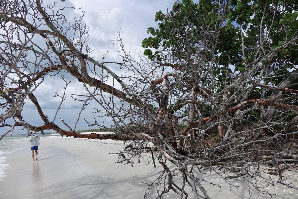 Uriger Naturstrand