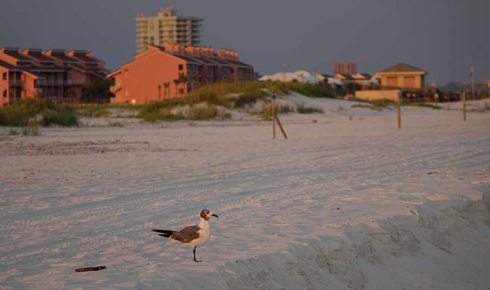 Sonnenuntergang Pensacola Beach