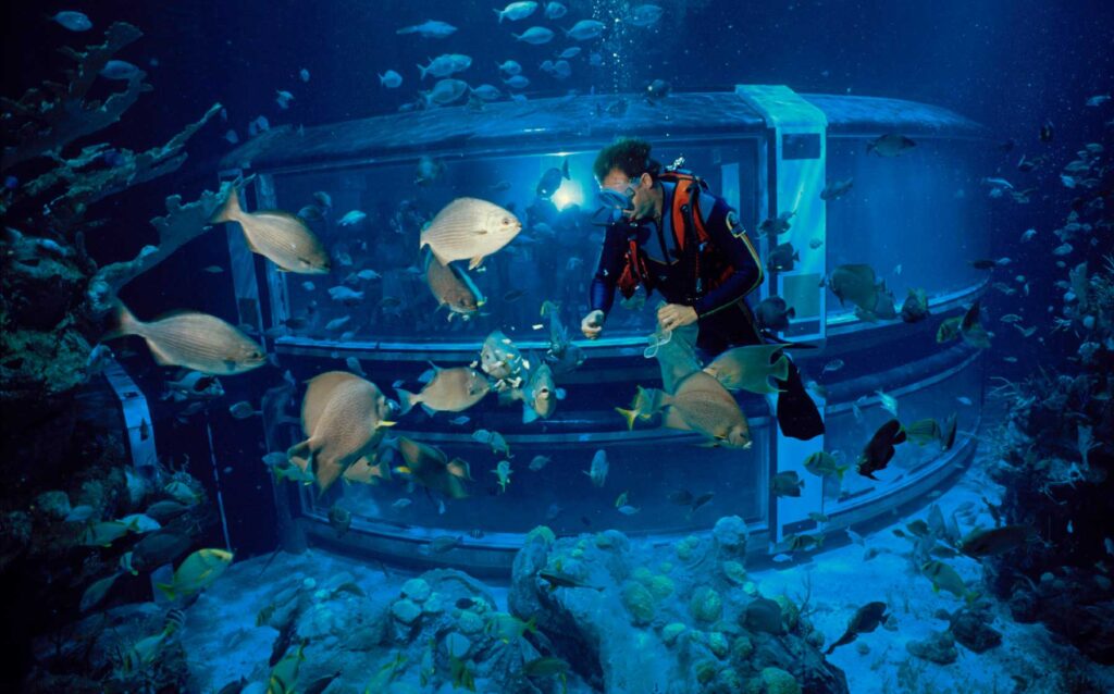 Epcot-Aquarium Nemo & Friends Pavilion