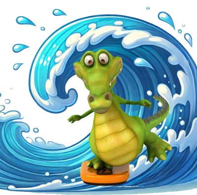 Surfer Florido
