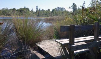 Rotary Park Cape Coral
