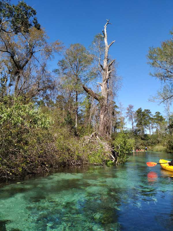Weeki Wachee Ptate Park