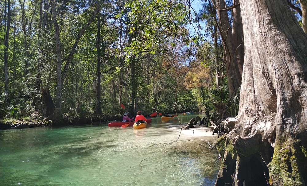Sandbank im Weeki Wachee River