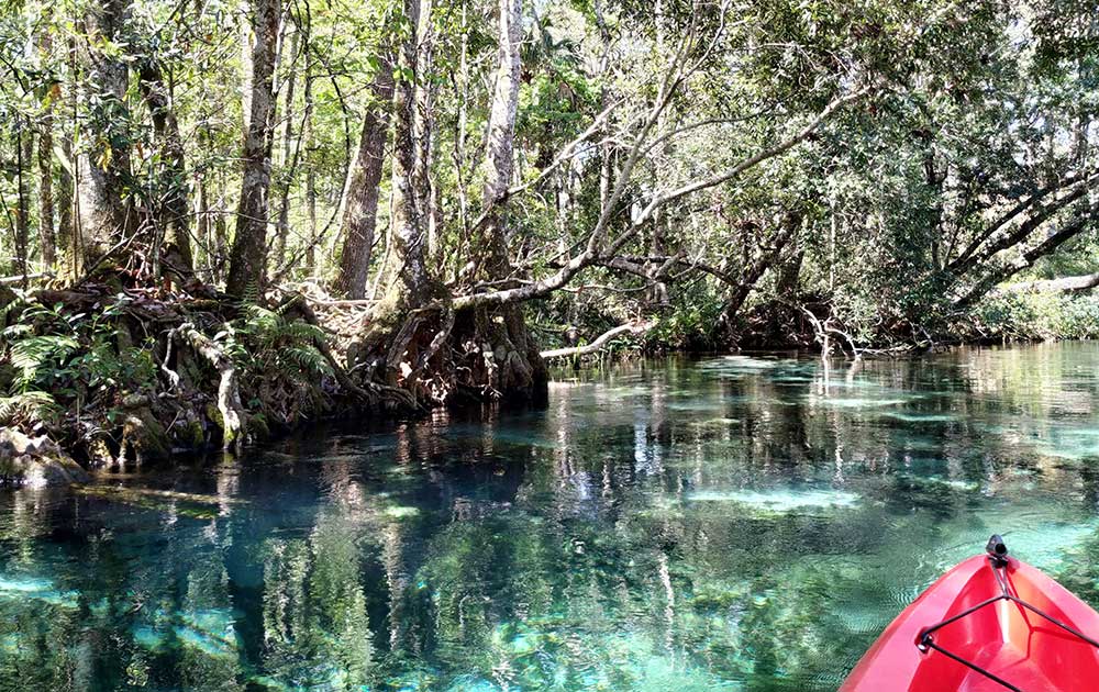 Weeki-Wachee-Kajak