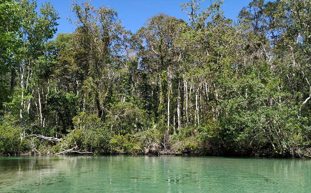 Höhlensystem unter Weeki Wachee