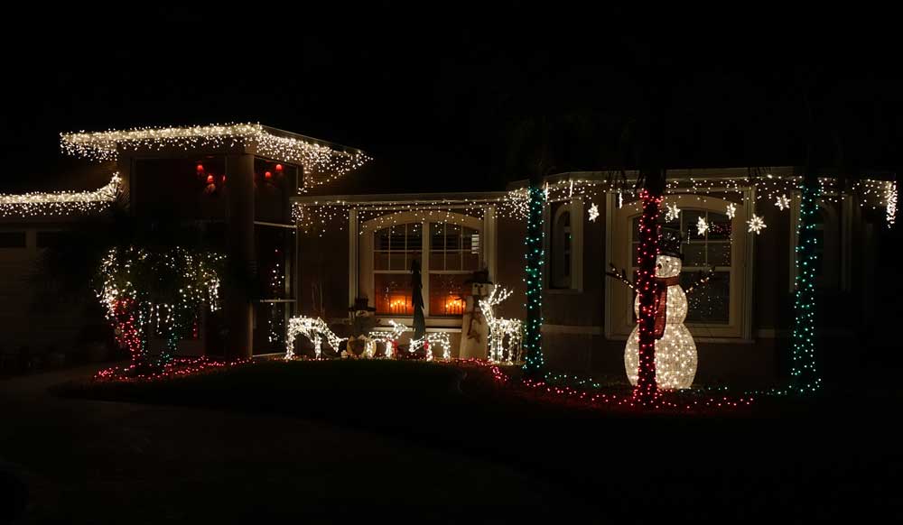 Rentierfamilie in Florida