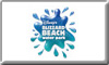 Disneys Blizzard Beach Water Park