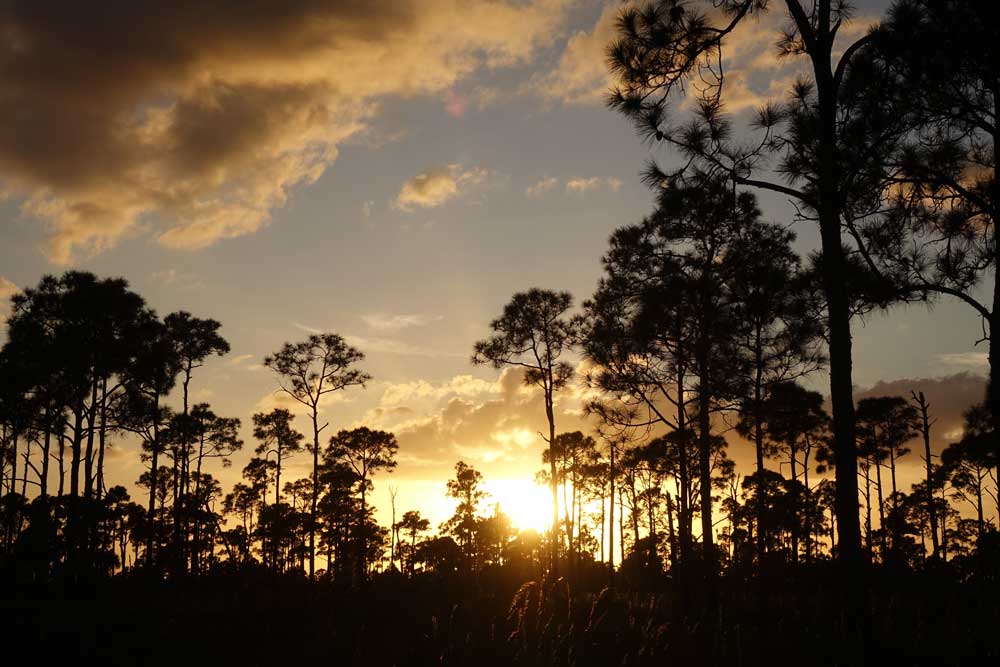 Preserve Park