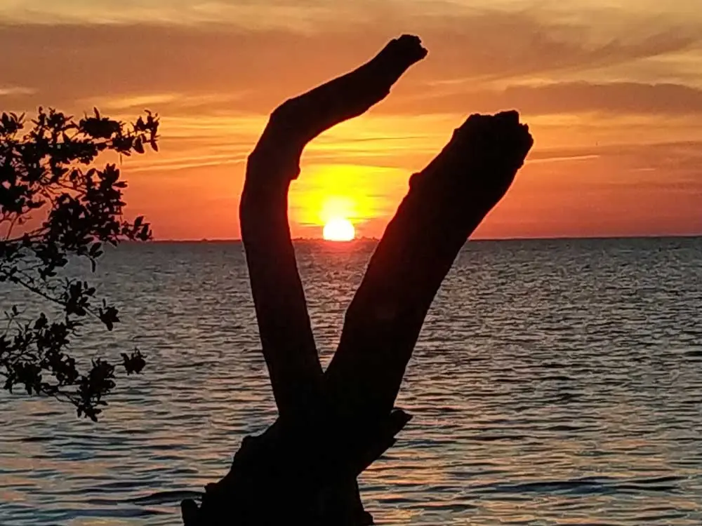 Sunset am Cahrlotte Harbor Preserve Park