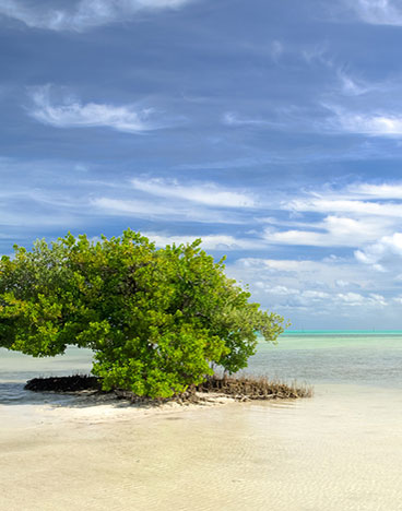 Florida Keys Annes Beach