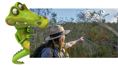 Eventkalender Everglades