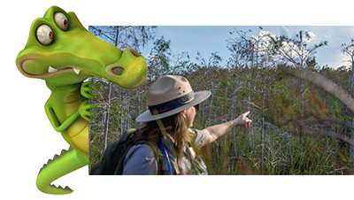 Eventkalender Everglades