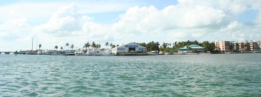 Marina Islamorada