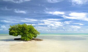 Anne's Beach