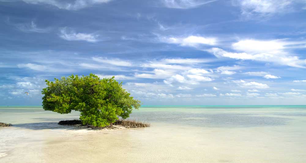 Anne's Beach