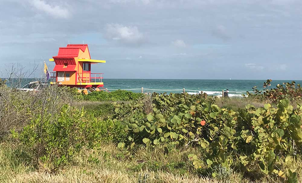 Lifeguard Miami Beach