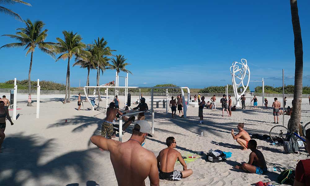 Muscle Beach Boys