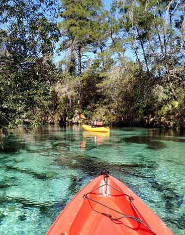 Naturpark Weeki Wachee