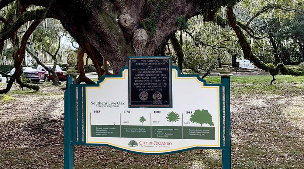 Lebenslauf Live Oak