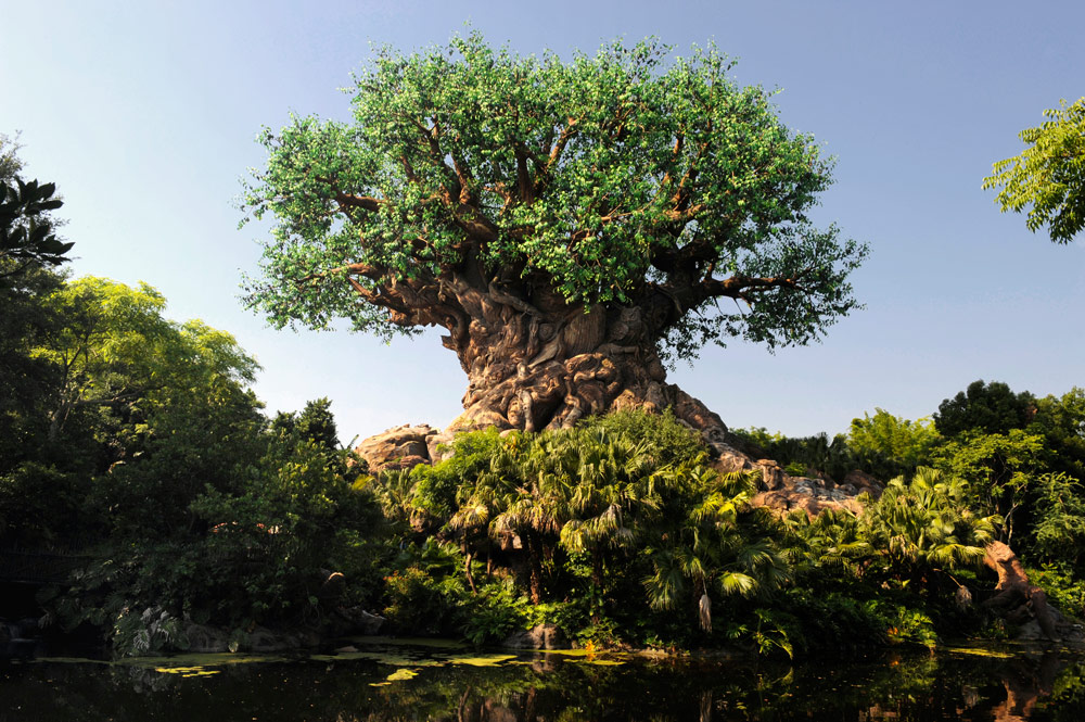 Tree of Live im animal Kingdom