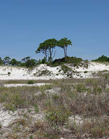 Panhandle Naturparks