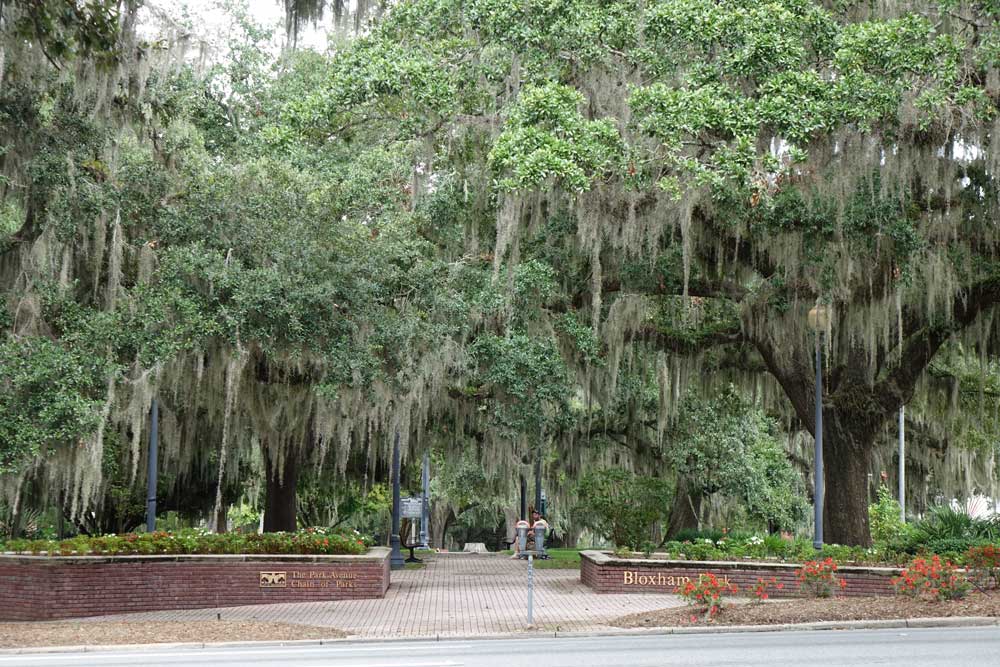 Parks Tallahassee