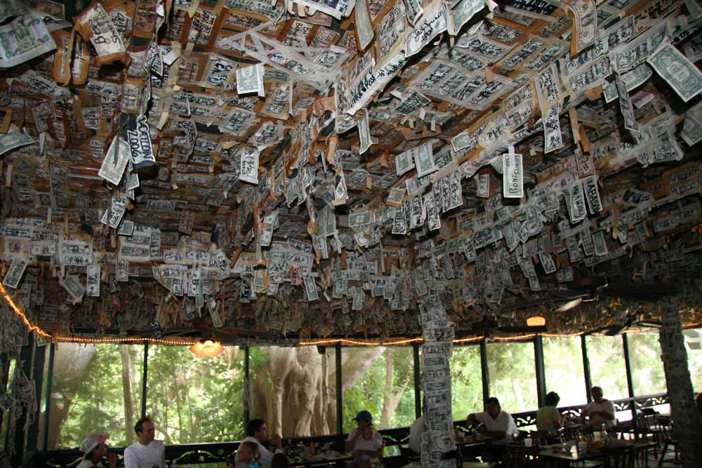Come back Dollar auf Cabbage Key