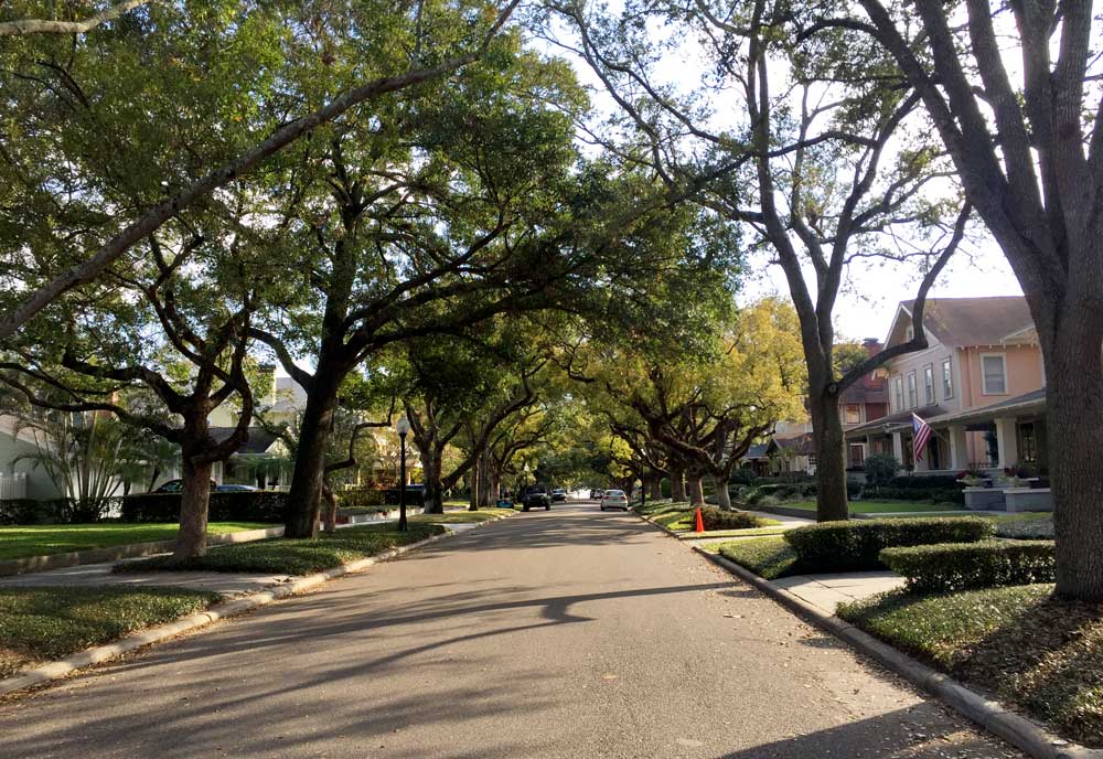 Urbanes Leben rund um Tampa