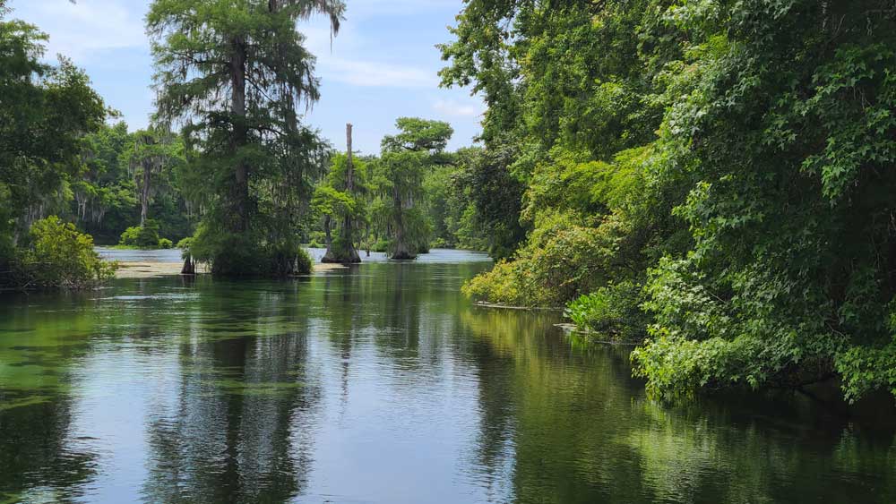 Filmkulisse Wakulla Springs