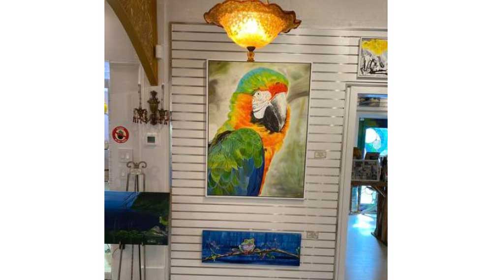 Royal Macaw Gallery of Matalacha