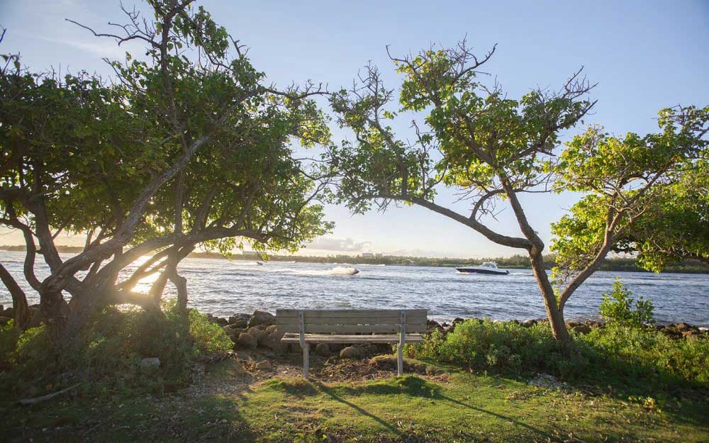 Waterview Haulover Park
