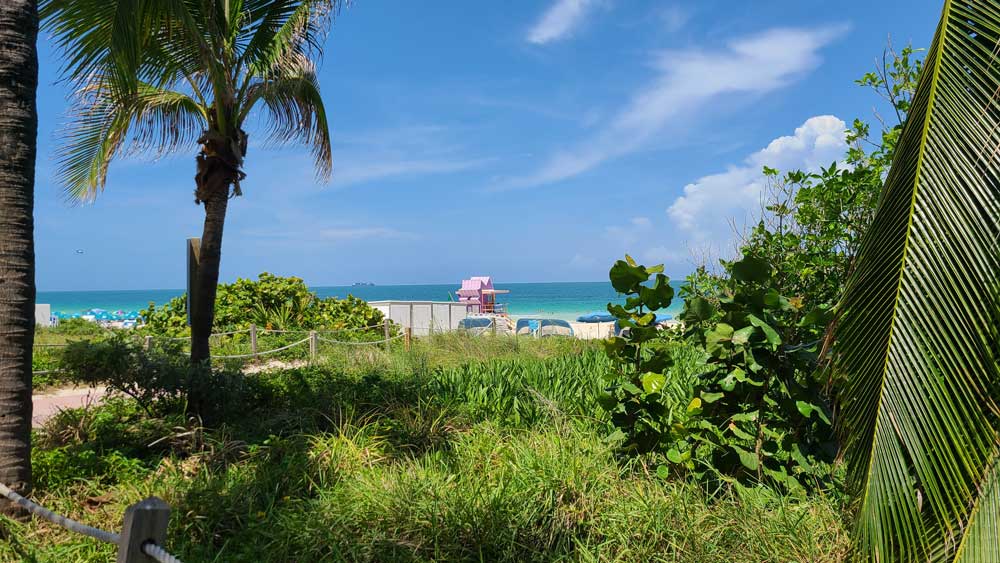 South Beach Lifeguard Tower in rosa